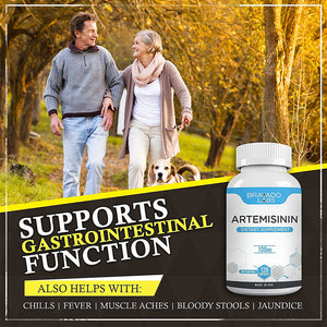 supports gastrointestinal function also helps with chills fever muscle aches bloody stools jaundice